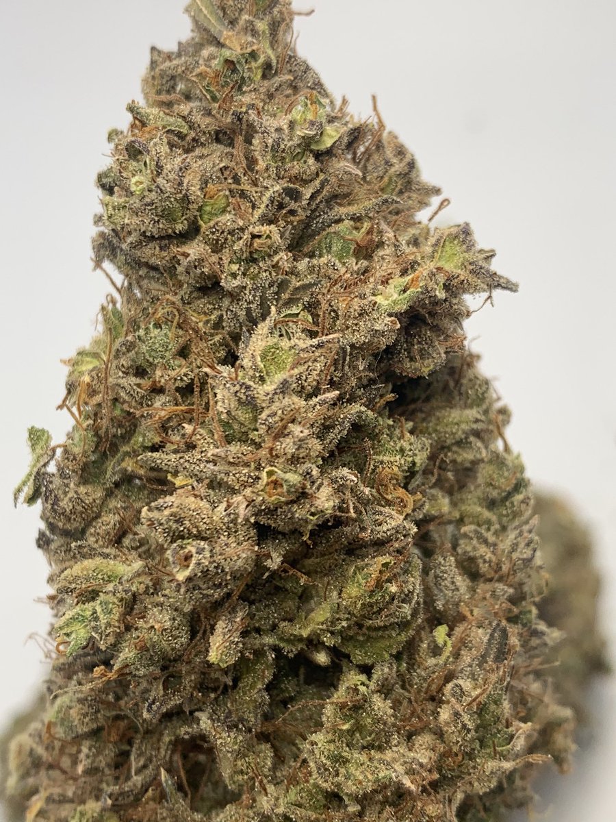 drgreenthumbth's tweet photo. Beautiful cannabis flowers
#Drgreenthumb
#Growstone #CannabisMedicinal
#cannabis
#Weed
#CannabisCommunity
#ปลูกกัญชาถูกกฎหมาย
#กัญชาออแกนิค
#กัญชารักษาโรค
#กัญชาเพื่อการแพทย์
#newnormalproject https://t.co/GqRalJGRxW
