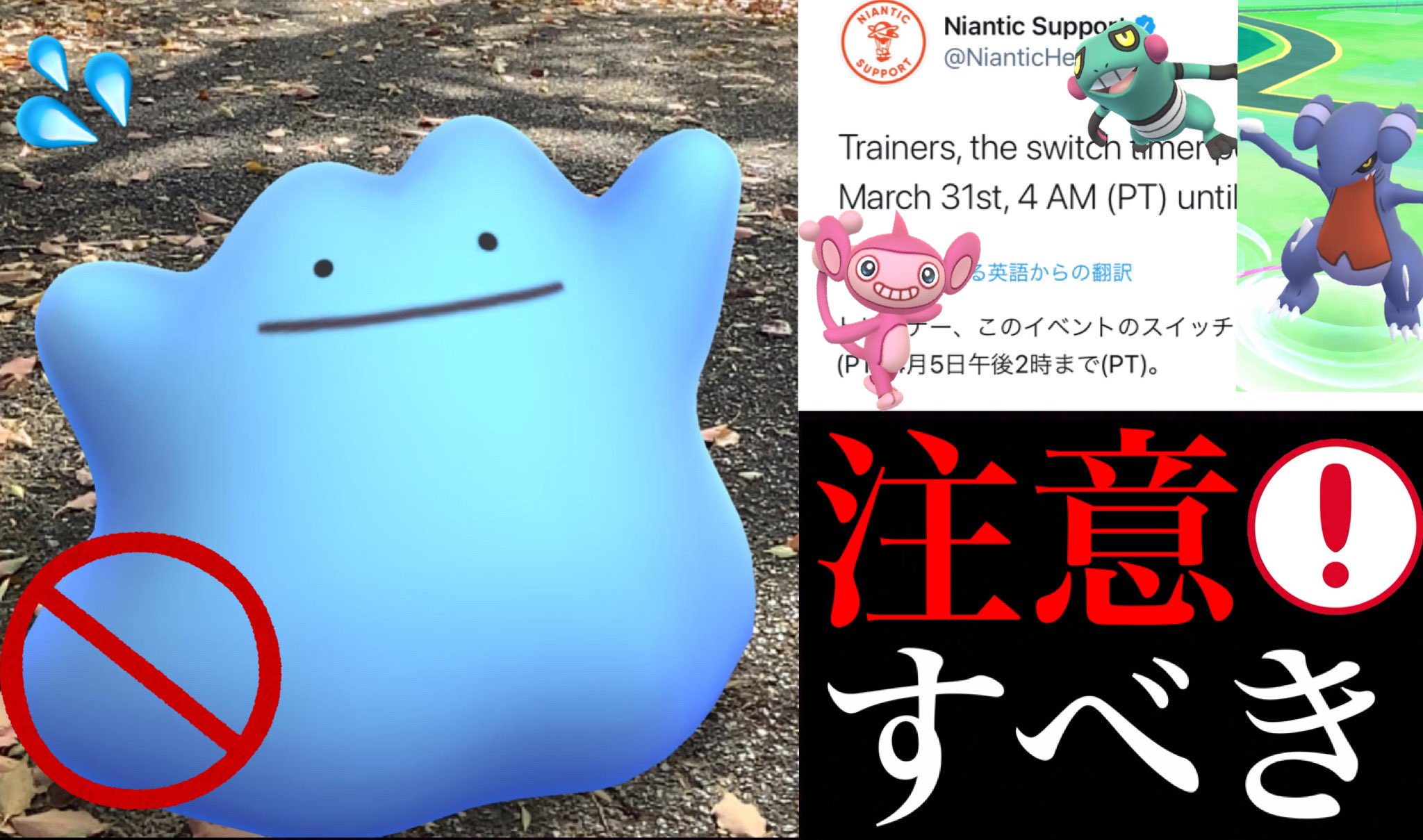 Onepoke 色違いメタモンは野生で出ないことが判明 エイプリルフールのイベントでやるべきことは レアポケモン はやっぱりイベントない時が狙い目 T Co Ywbcrjigsd ポケモンgo Onepoketv T Co Higoyslt9l Twitter