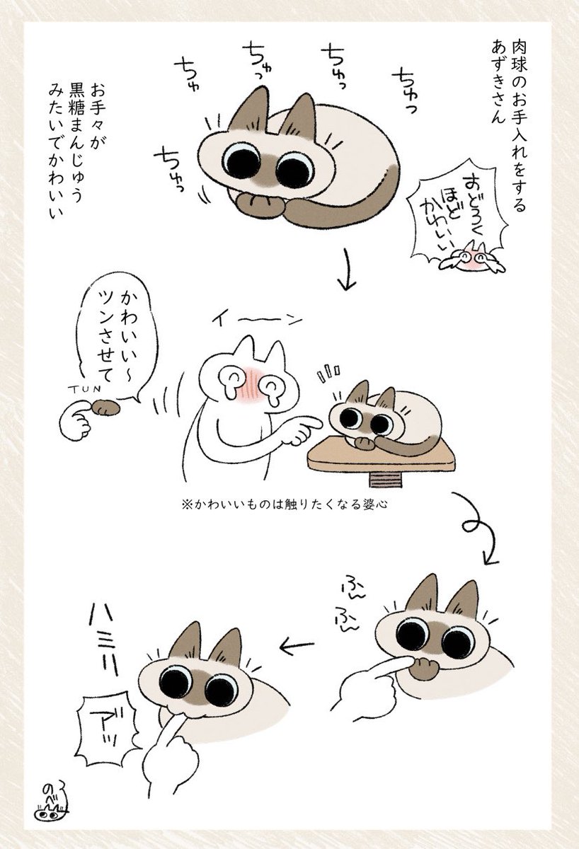 ツンさせてや〜 #シャム猫あずきさんは世界の中心 