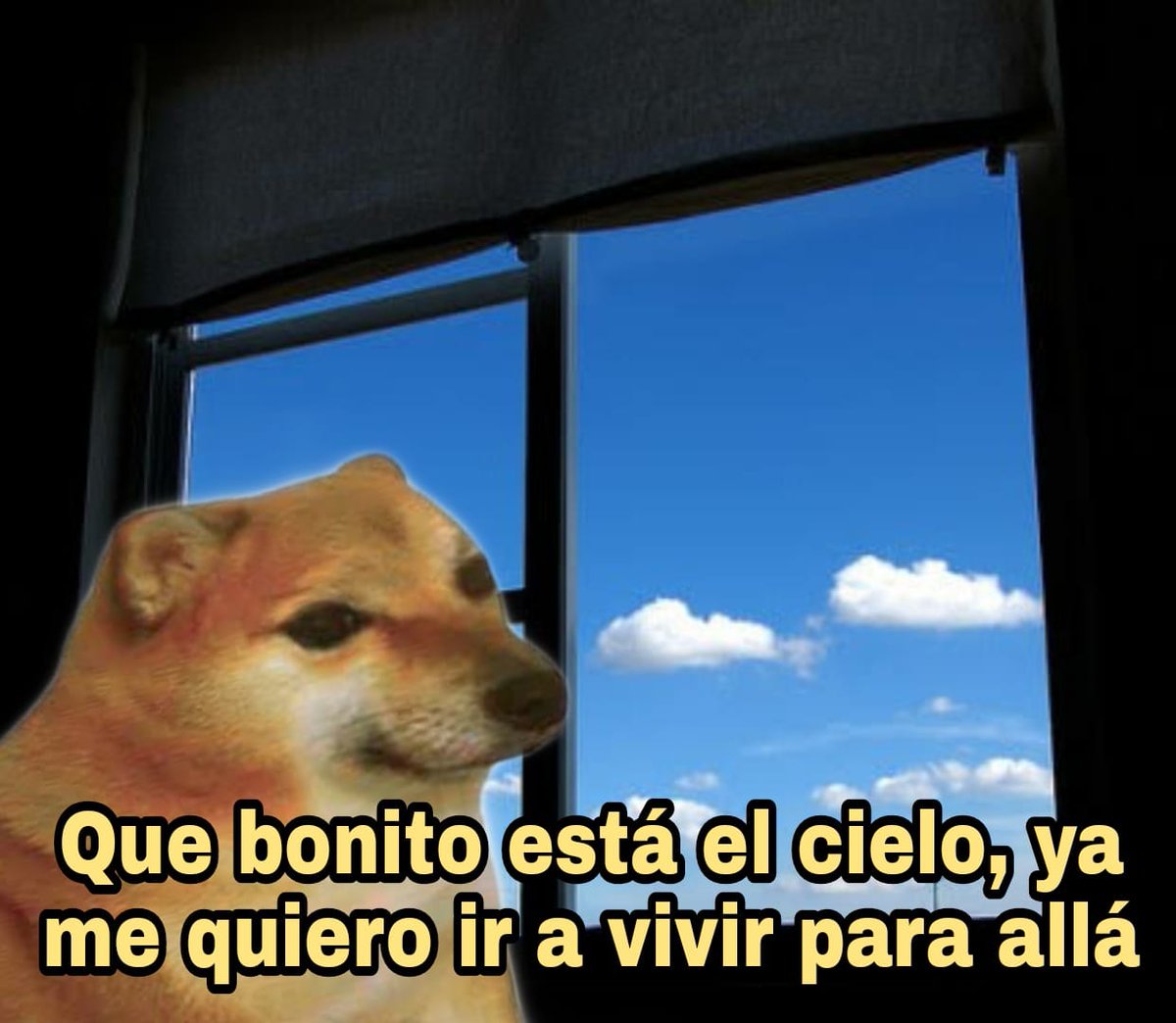 Nico (@nicolasschrute) on Twitter photo 