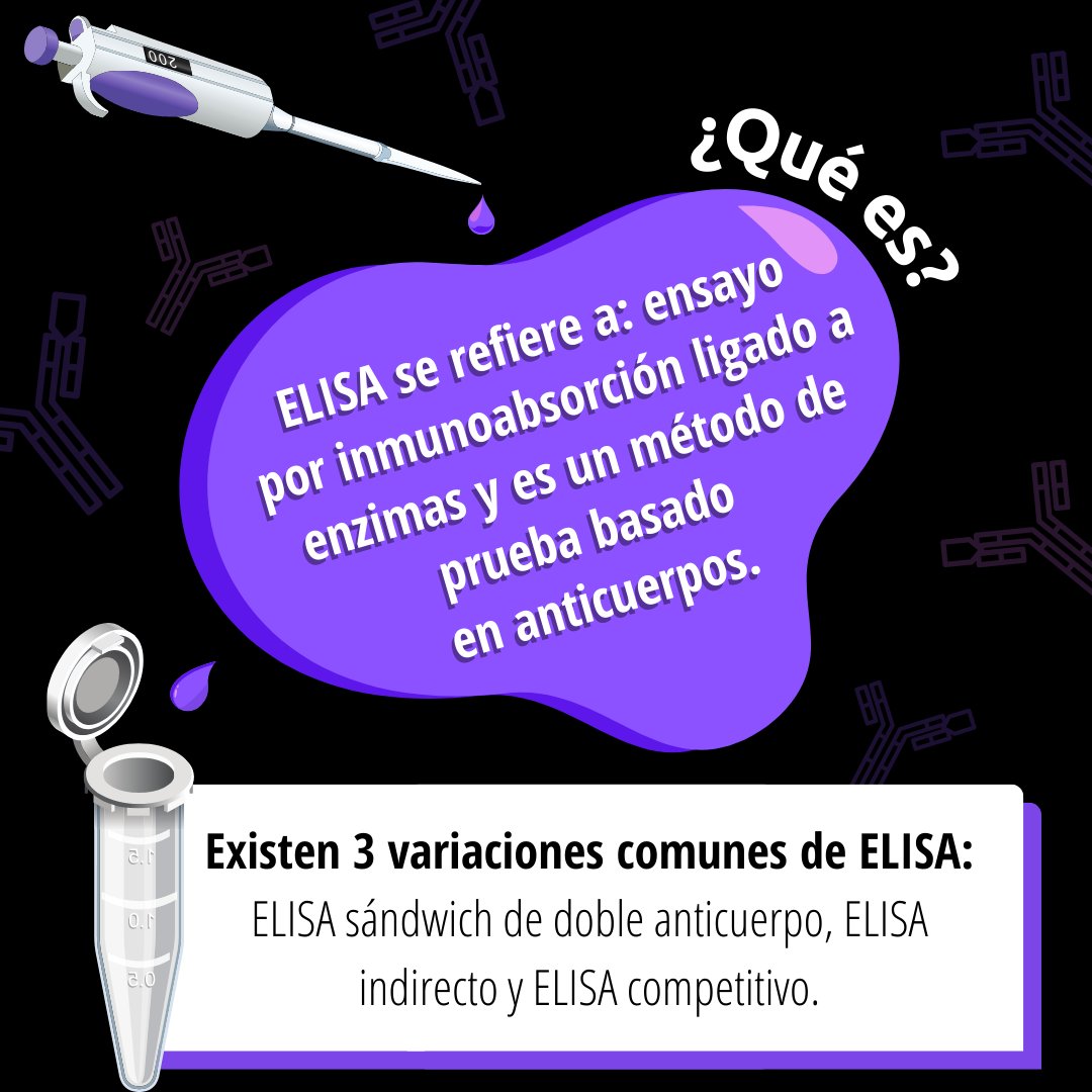 ollin_synbio's tweet photo. Los científicos lograron aprovechar la maquinaria del sistema inmune para generar técnicas que permitan reconocer y cuantificar moléculas de interés. Ha estos les denominamos #Inmunoensayos, ¿sabías de su existencia?
Hoy te presentamos uno de los más populares, la técnica #ELISA. https://t.co/vnvHhUW5rp