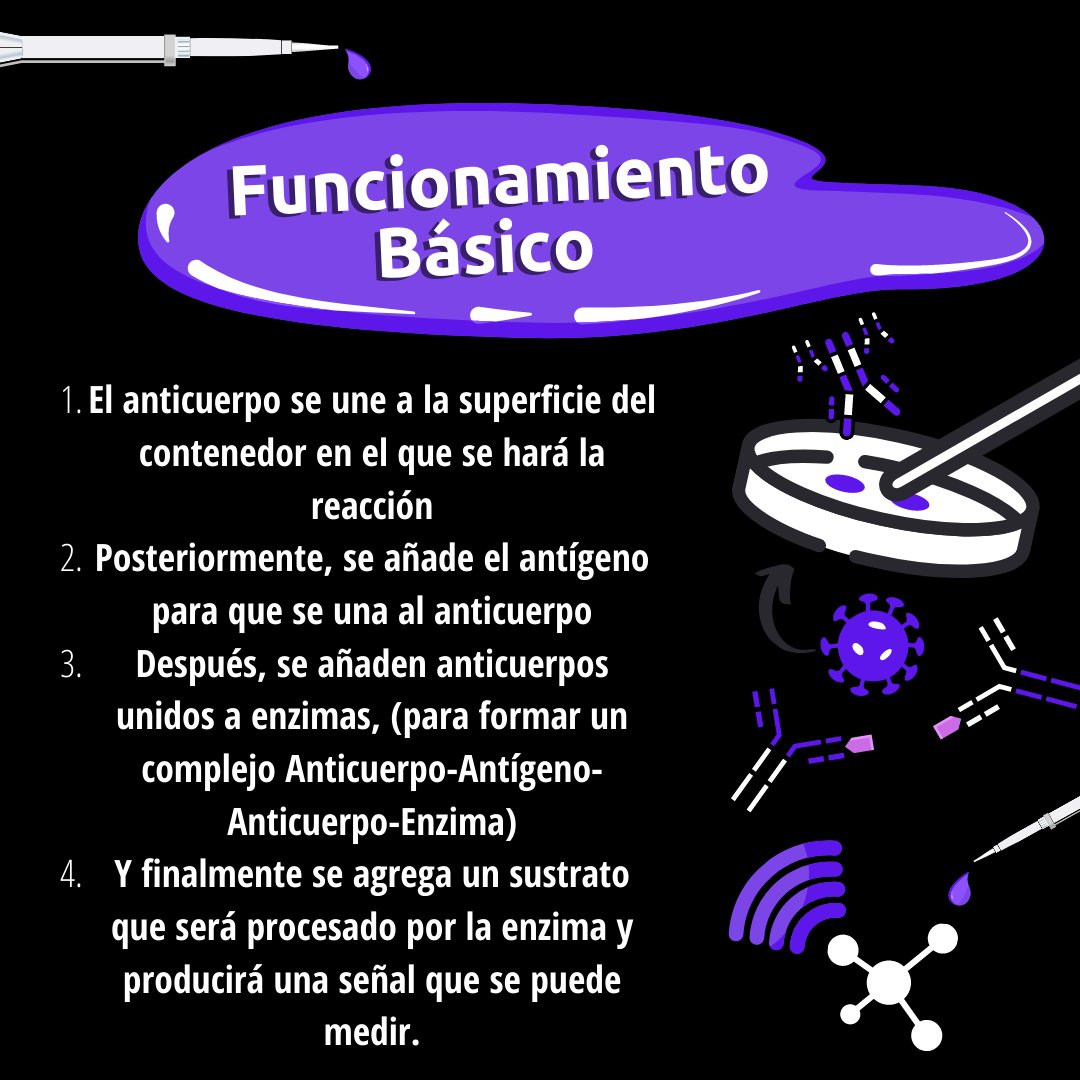 ollin_synbio's tweet photo. Los científicos lograron aprovechar la maquinaria del sistema inmune para generar técnicas que permitan reconocer y cuantificar moléculas de interés. Ha estos les denominamos #Inmunoensayos, ¿sabías de su existencia?
Hoy te presentamos uno de los más populares, la técnica #ELISA. https://t.co/vnvHhUW5rp