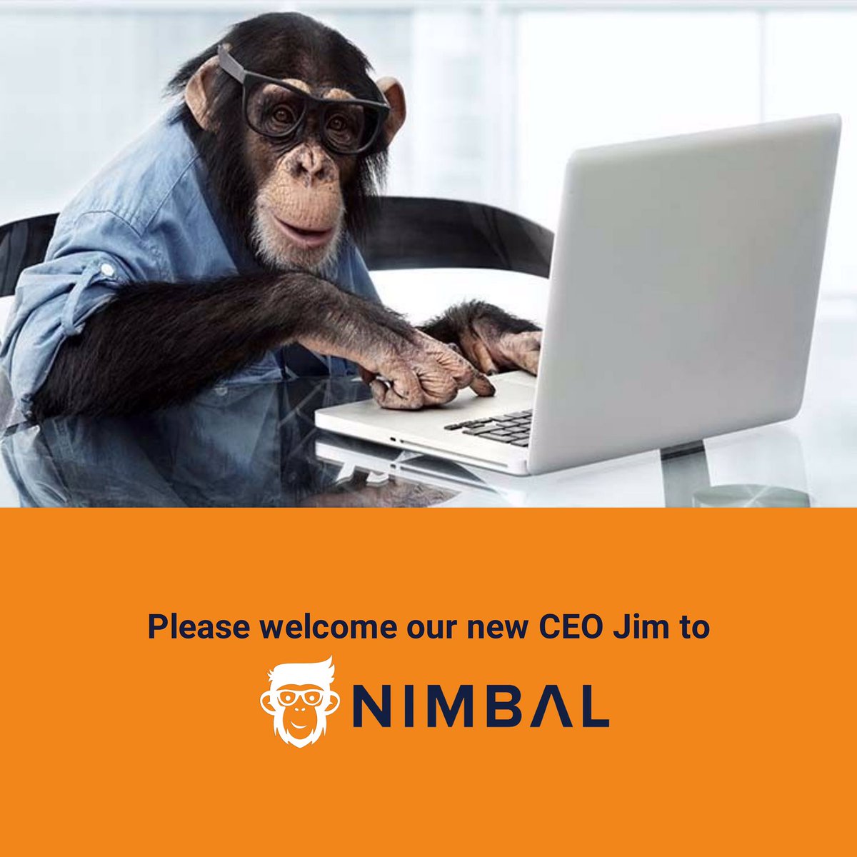 Nimbalnz's tweet photo. Please help us welcome our new CEO Jim. He's joining us from his role at Auckland Zoo were he served as the Chief Banana inspector. Heres a quote from the new boss "Banana" - Jim https://t.co/sLRLHsVBkj