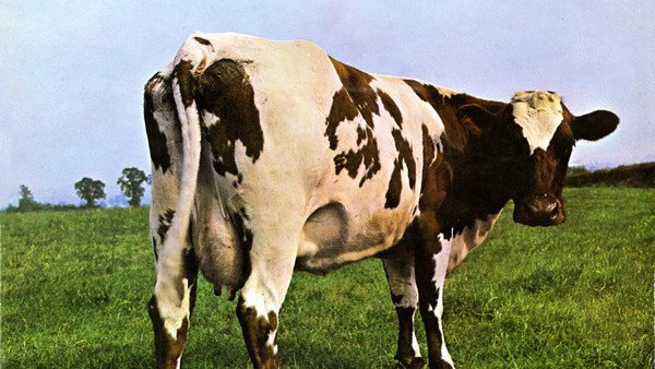 ArchCricket's tweet photo. #SpecWriting #Music for tonight is Pink Floyd.
(@pinkfloyd) https://t.co/KGPvcUtUCH