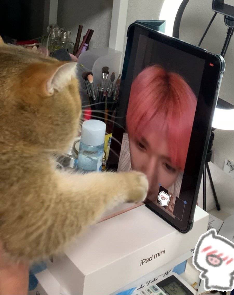 ty_rose_b's tweet image. #taeyong