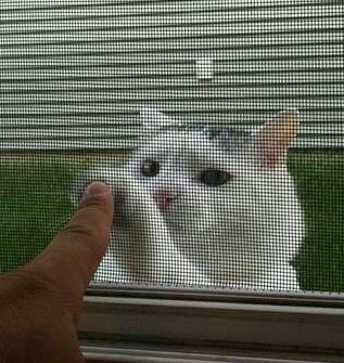 ty_rose_b's tweet image. #taeyong