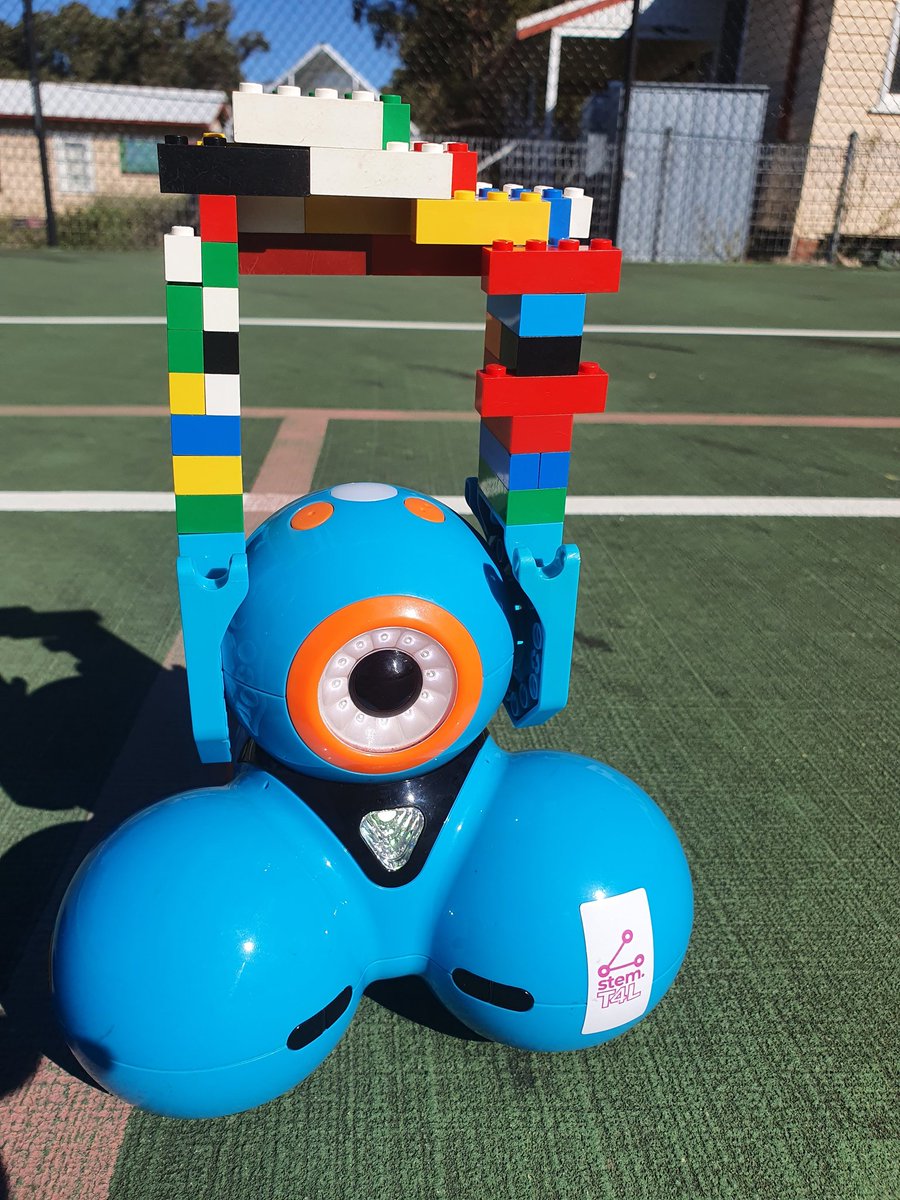 Dash is getting ready for the Easter Hat Parade at Moonbi Public School! <a href="/stem_T4L/">stem.T4L</a> #stemt4l #easter #moonbips