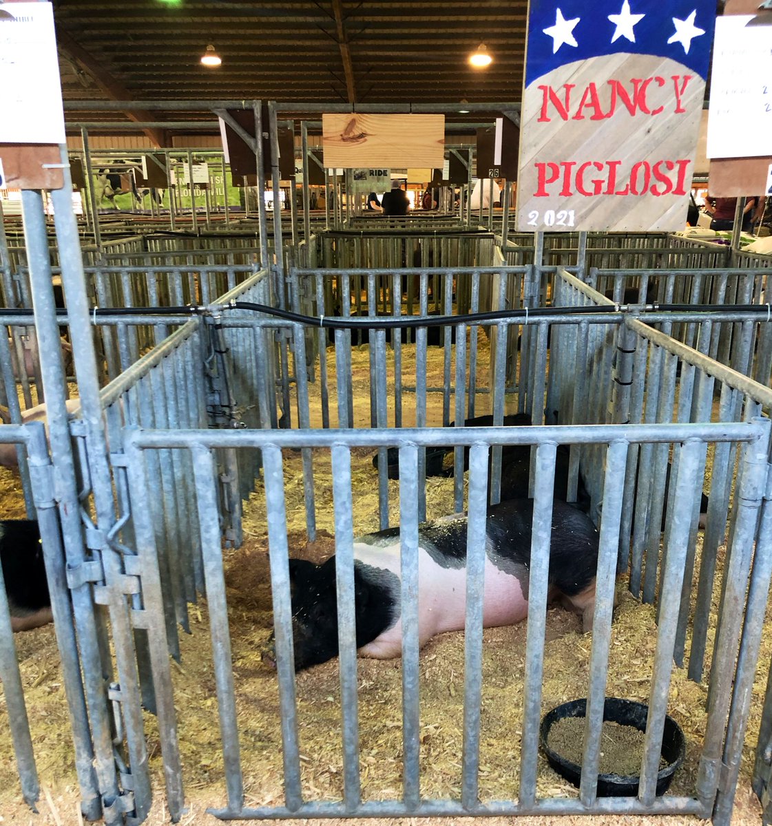 JoetteAlt's tweet photo. @Gr33nEyedSara Currently at the fair and I love the farm that entered her. https://t.co/7KLamd2smF