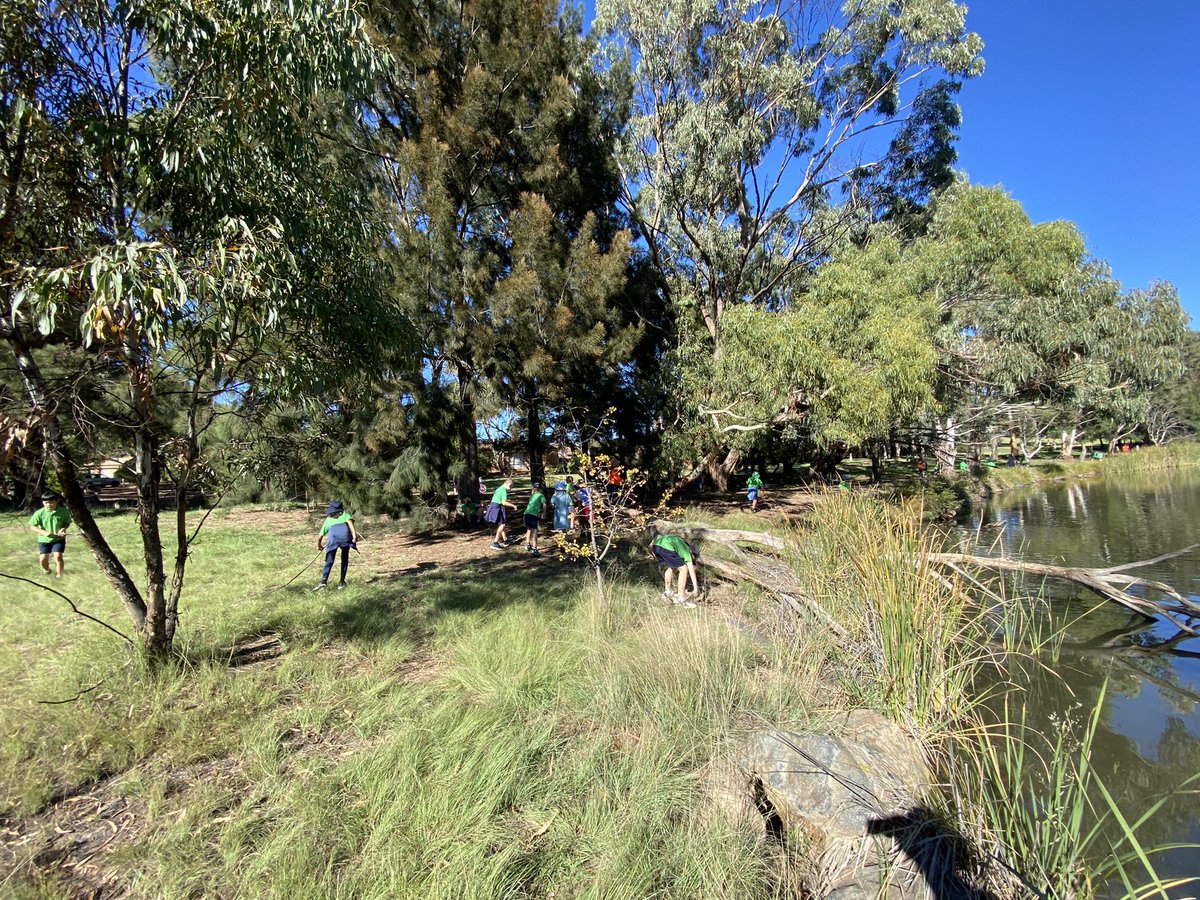 bw2311's tweet photo. Out on our ‘Connecting with Country’ walk. Today we are celebrating the end of term by exploring the natural world. What are you grateful for in the natural world? #connectingwithcountry #bpsinquiry #learningwithpurposeandpassion https://t.co/v3K8fY5Ho2