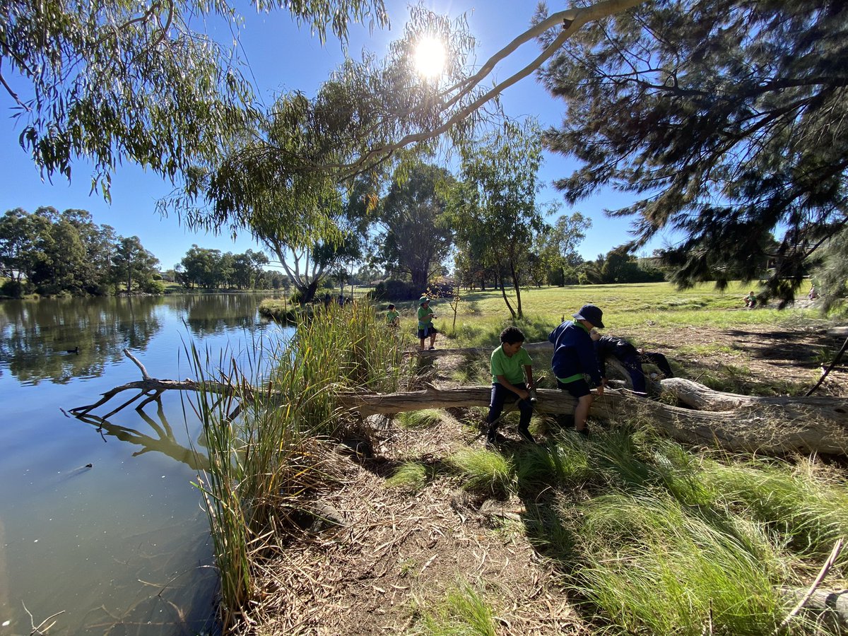 bw2311's tweet photo. Out on our ‘Connecting with Country’ walk. Today we are celebrating the end of term by exploring the natural world. What are you grateful for in the natural world? #connectingwithcountry #bpsinquiry #learningwithpurposeandpassion https://t.co/v3K8fY5Ho2