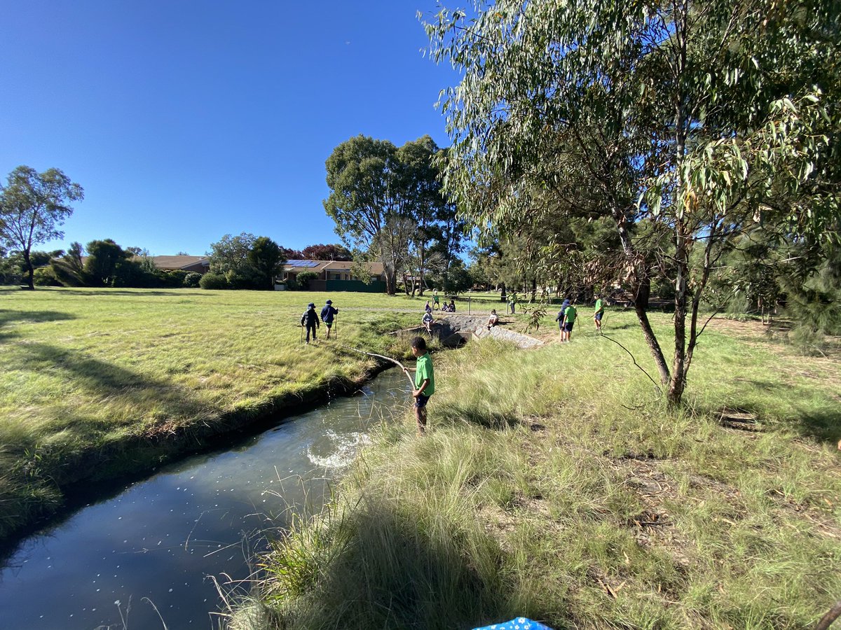 bw2311's tweet photo. Out on our ‘Connecting with Country’ walk. Today we are celebrating the end of term by exploring the natural world. What are you grateful for in the natural world? #connectingwithcountry #bpsinquiry #learningwithpurposeandpassion https://t.co/v3K8fY5Ho2