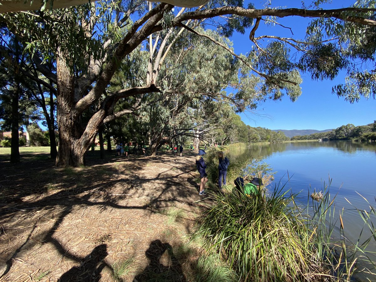 bw2311's tweet photo. Out on our ‘Connecting with Country’ walk. Today we are celebrating the end of term by exploring the natural world. What are you grateful for in the natural world? #connectingwithcountry #bpsinquiry #learningwithpurposeandpassion https://t.co/v3K8fY5Ho2