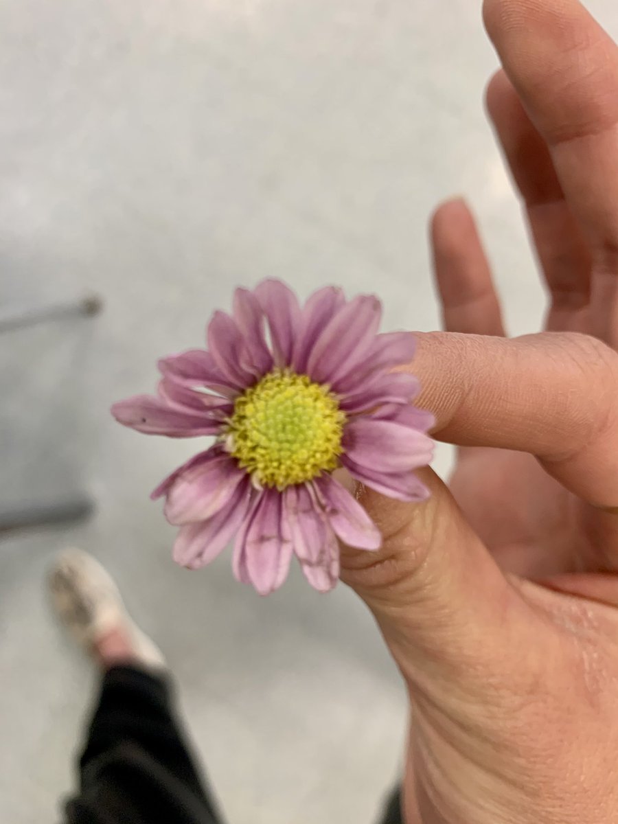 jessfletcheredu's tweet photo. Feeling the ❤️ today from one of my sweet Kinders. It’s gestures like these that remind me I’m in the right place ☺️ https://t.co/QHX1bGRZWd