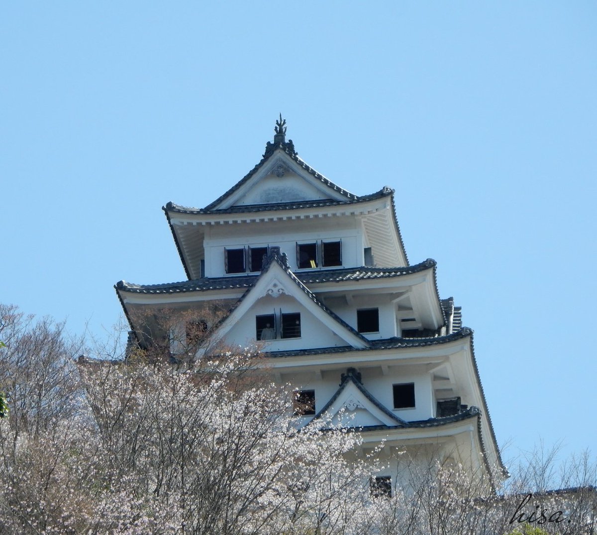 Hisa Mathu お早うございます 4 1木 今日から4月 良い天気が続いていますね こちら郡上も一気に気温が上がり 今 桜 が見頃をむかえています 昨日 郡上八幡 城山公園へ とても綺麗でしたよ 今月もよろしくお願いします 郡上八幡城 Hisa Mathu お早うございます 4 1木 今日から4月 良い天気が続いていますね こちら郡上も一気に気温が上がり 今 桜 が見頃をむかえています 昨日 郡上八幡 城山公園へ とても綺麗でしたよ 今月もよろしくお願いします 郡上八幡城