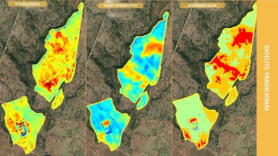 smart_flight's tweet image. Ha sido un honor haber participado como ponentes en el “CURSO TITULO AVANZADO DE RESPONSABLE DE PROCESOS Y CONOCIMIENTO DEL ENTORNO PARA ELABORACIÓN DE ACEITE DE OLIVA&quot;, por Juan Vilar Consultores Estratégicos. @vilar_hernandez 
#smartflight #agriculturadeprecision #ManejoDelAgua