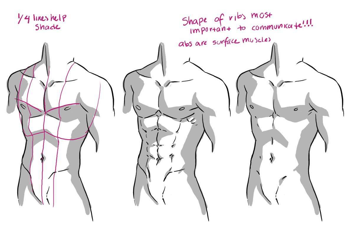 Some notes on my approach to drawing abs ^^ As always there's so many different ways to do things, this is just how I do it!
