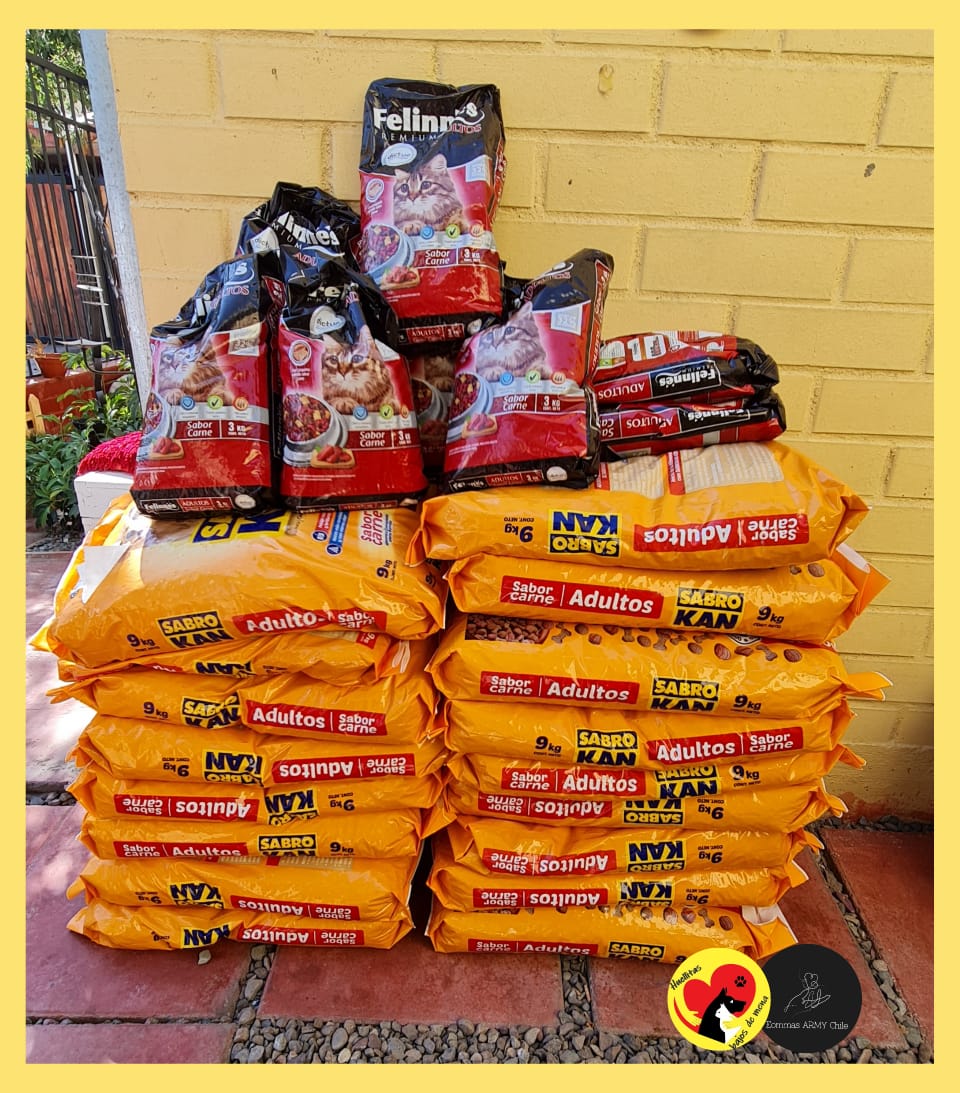 ArmyEommas's tweet photo. Mis queridas eommas hoy hicimos entrega de de los alimentos reunidos en nuestra campaña "Huellitas de Sope". Hicimos un total de 162 kilos de comida para perros y 27 kilos de comida de gatos.
Se agradece infinitamente a todas quienes nos ayudaron con aportes y difusión. @BTS_twt https://t.co/snlTHrW3np