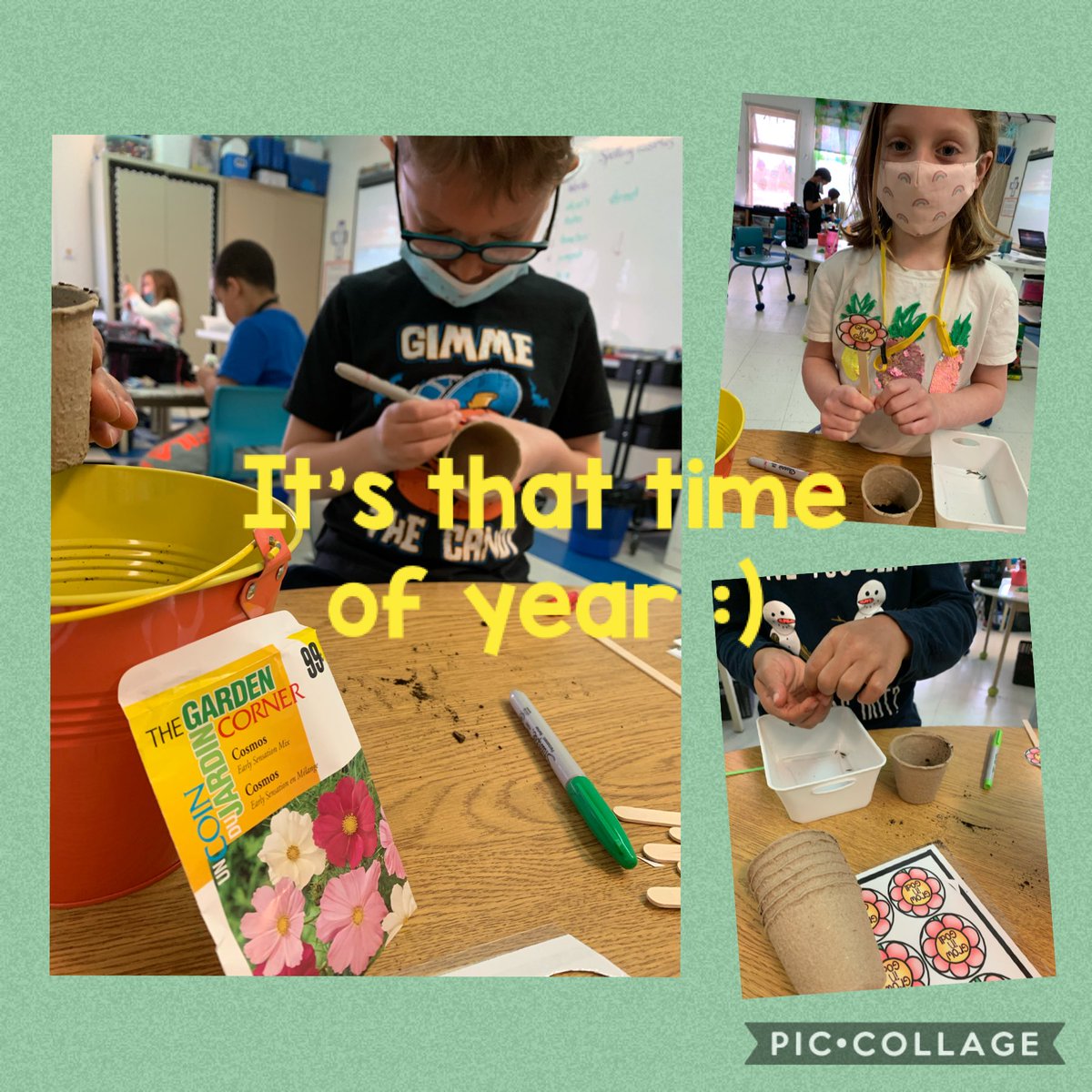 mrsjenningsSEAS's tweet photo. Spring is in our classroom! ⁦@EASetonOCSB⁩ #GrowinGod https://t.co/6qiFAjUU6D