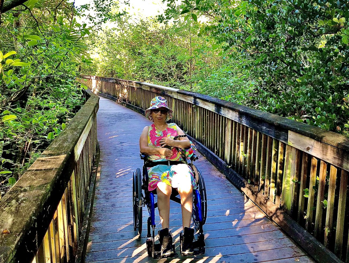 stevewright64's tweet photo. Heidi Johnson-Wright aka @gimpgirl64 in the heart of the Everglades. The Kirby Storter boardwalk provides a mile round trip wheelchair-accessible walk through the Big Cypress area. #naturephotography #oldfla #everglades #outdoors #bigcypress #nature #wheelchairaccessible #florida https://t.co/kSnvC7cUJF