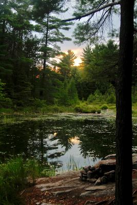 OntarioParks's tweet photo. Most of us are fairly familiar with some broad categories of ecosystem, like wetlands, forests, and grasslands.
But each of these categories can be drilled down into more specific types of ecosystems, like salt marshes and alvars. https://t.co/r7Gwulgpgz
#ForeverProtected https://t.co/sfGXCWzOW9