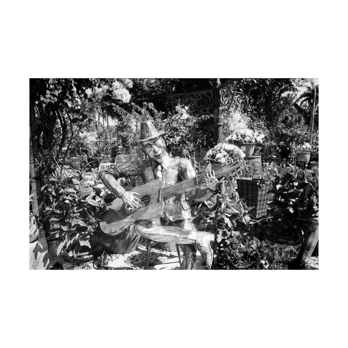 pinay_girl69's tweet photo. the camera &amp; the photos✨📸 #35mmfilm #35mm #shootfilmnotbullets https://t.co/nmqRG9c6OQ