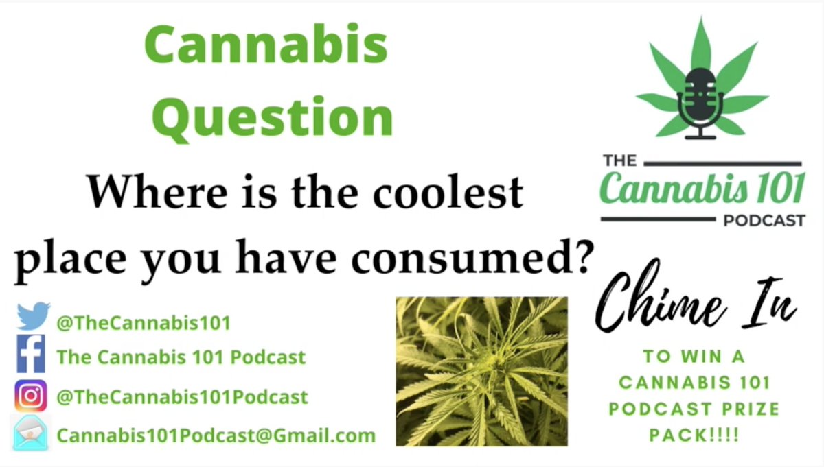 thecannabis101's tweet photo. #420FridayFun from ep88 #Cannabis101Podcast 
Learn-Laugh-Win-Share
📺https://t.co/hsELgtaeJu
🎧https://t.co/45LdcOA0aV
#CannabisQuestion coolest place you consumed
#WeedWordsOfTheDay activity &amp; cultivar
#CannabisCharacter That 70's Show
#WhatPairsWellWithCannabis pain relief https://t.co/hmZmfhmKlb