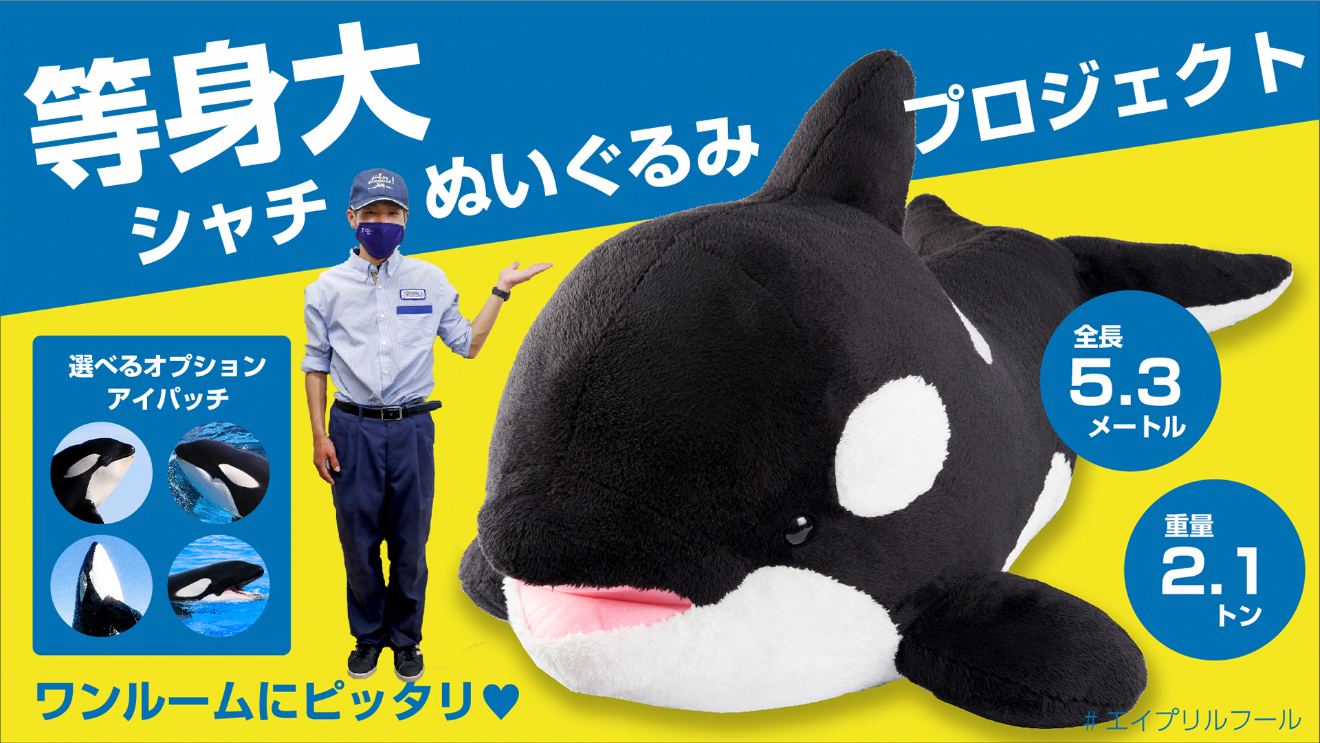 高評価なギフト 新品未使用 鴨川シーワールド限定 50周年 ジグソーパズル シャチ おもちゃ ぬいぐるみ Hlt No