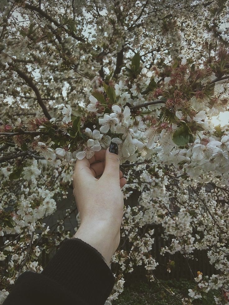цепочка твиттерских, в честь первого апреля. 

~делай рт. 
~читай меня и ретвитнувших ( я #взаимная) 
~ фавай цепочку. 
~ у тебя спина белая. 
~ заботься о себе и одевайся потеплее, еще не май месяц.

#цепочкатвиттерских
#цепочкафалловеров