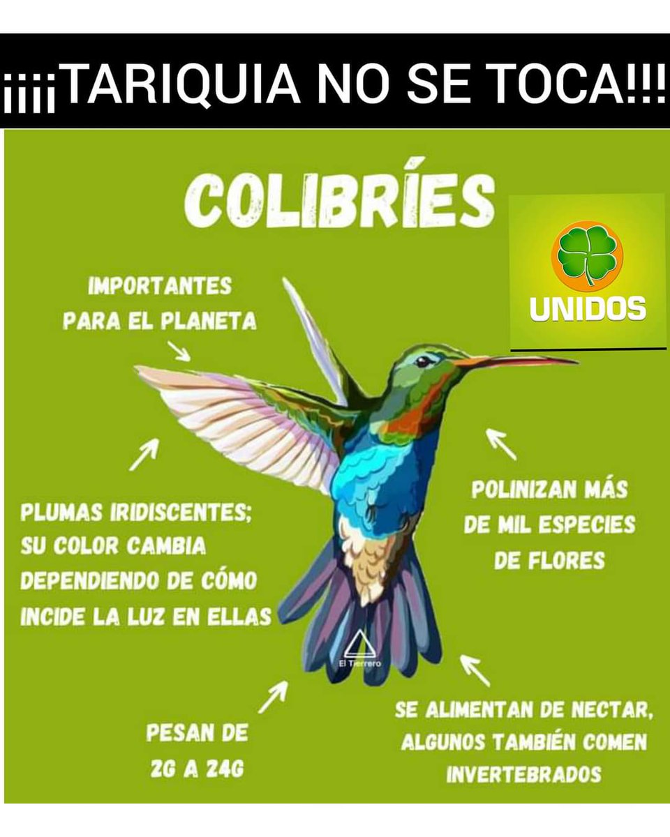 PabloParedesC2's tweet image. Tariquia No caerá en las garras criminales del Masismo, éste 11 de Abril vota #UnidosPorTarija #OscarMontesGobernador Vota por la Democracia, Vota por Tarija, Vota por la Protección de Tariquia. #TarijaSeRespeta #TariquiaNoSeToca #YoVotoPorTarija 🇮🇩🇮🇩🍀🍀🇮🇩🇮🇩
