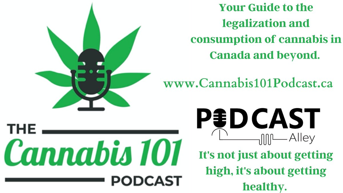 thecannabis101's tweet photo. #OneHitters with Shawn King, Head of Marketing @PAXvapor from ep88 #Cannabis101Podcast
📺https://t.co/e345Lb7Aa2
🎧https://t.co/FhErKqrA6B
Where's his bucket-list place to get high? What fictional character would he most like to vape with? 1st dance with #MaryJane
@shawn_kinger https://t.co/zoRsp1dec9