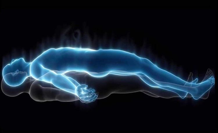 CryptoHarambe 🦍 tweet media