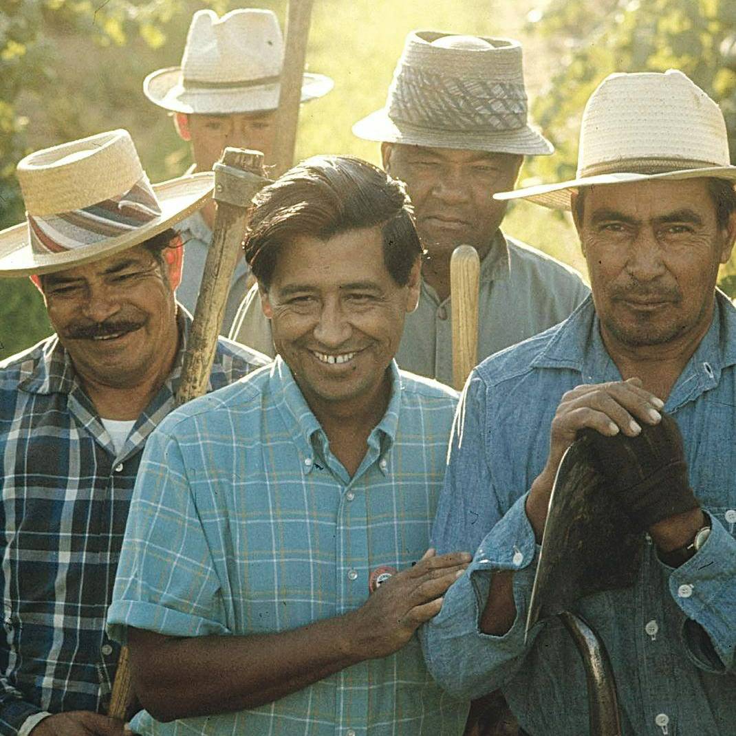United Farm Workers tweet media
