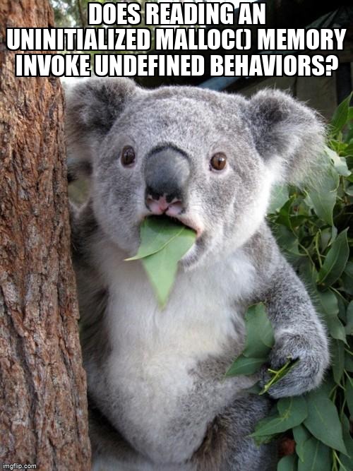 overflow_meme's tweet image. Does reading an uninitialized malloc() memory invoke Undefined Behaviors? stackoverflow.com/questions/6683… #undefinedbehavior #malloc #c