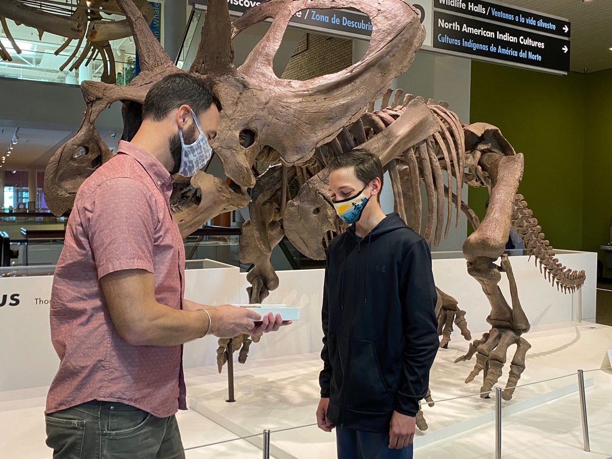 DenverMuseumNS's tweet photo. Is that a dinosaur tooth? Yep! A local 8th-grader, Jonathan Charpentier, found a T. rex tooth recently while walking outside. Today he met with curator Dr. Joe Sertich to share his discovery &amp; learn more. Thanks for your important find, Jonathan! #Dinosaur #Trex #Tyrannosaurusrex https://t.co/fOYnFpyYIK