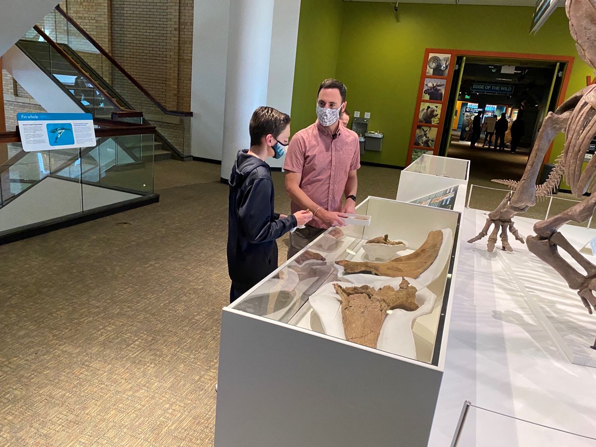 DenverMuseumNS's tweet photo. Is that a dinosaur tooth? Yep! A local 8th-grader, Jonathan Charpentier, found a T. rex tooth recently while walking outside. Today he met with curator Dr. Joe Sertich to share his discovery &amp; learn more. Thanks for your important find, Jonathan! #Dinosaur #Trex #Tyrannosaurusrex https://t.co/fOYnFpyYIK