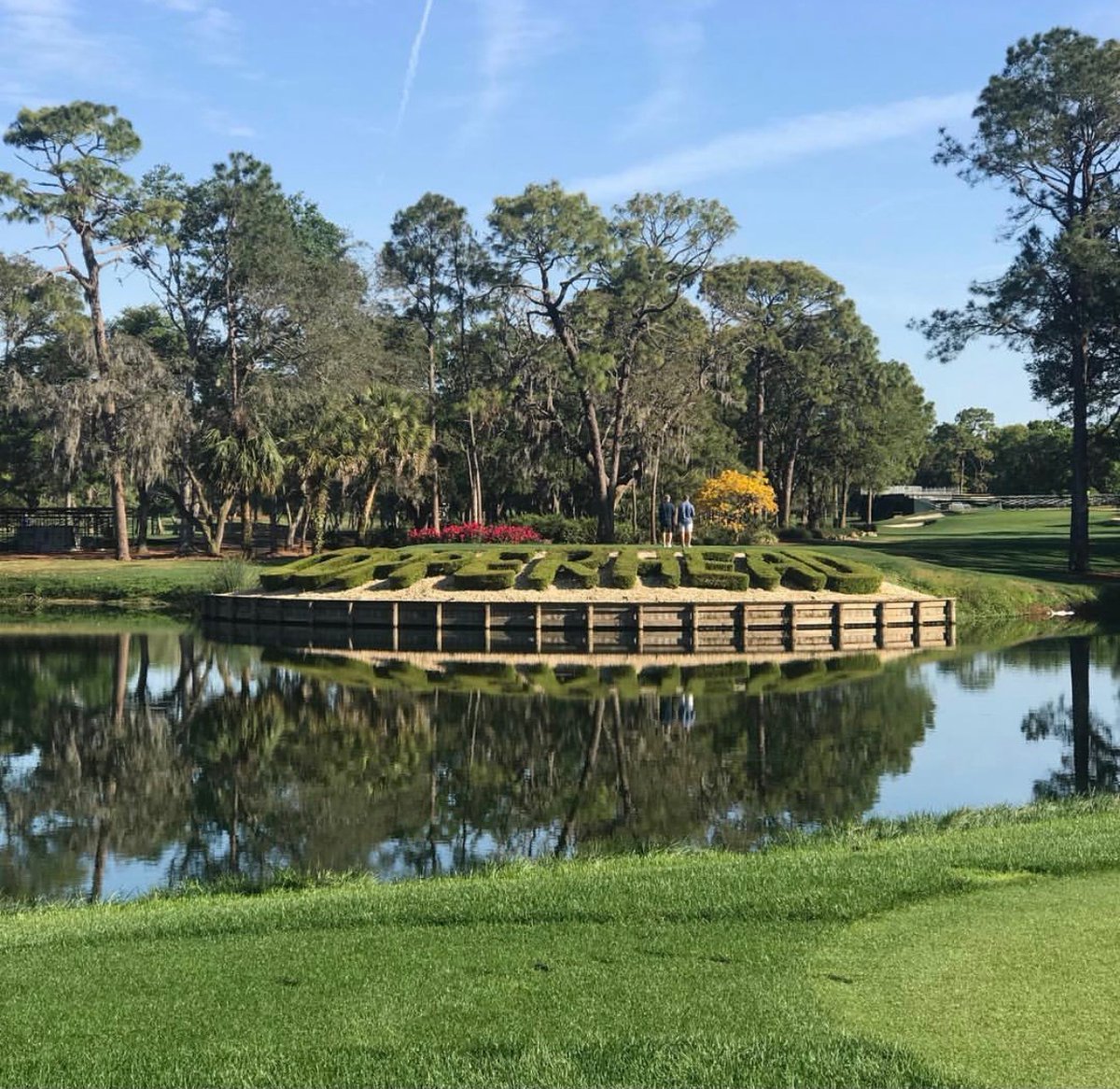 Innisbrook's tweet photo. Copperhead is ready...are you? Play the Copperhead Course in prime pre-tournament condition before the pros tee off next month at the @valsparchamp! #copperheadcourse #PGATOUR
📸: @caityoung2 https://t.co/OMmrDQ1Oa4