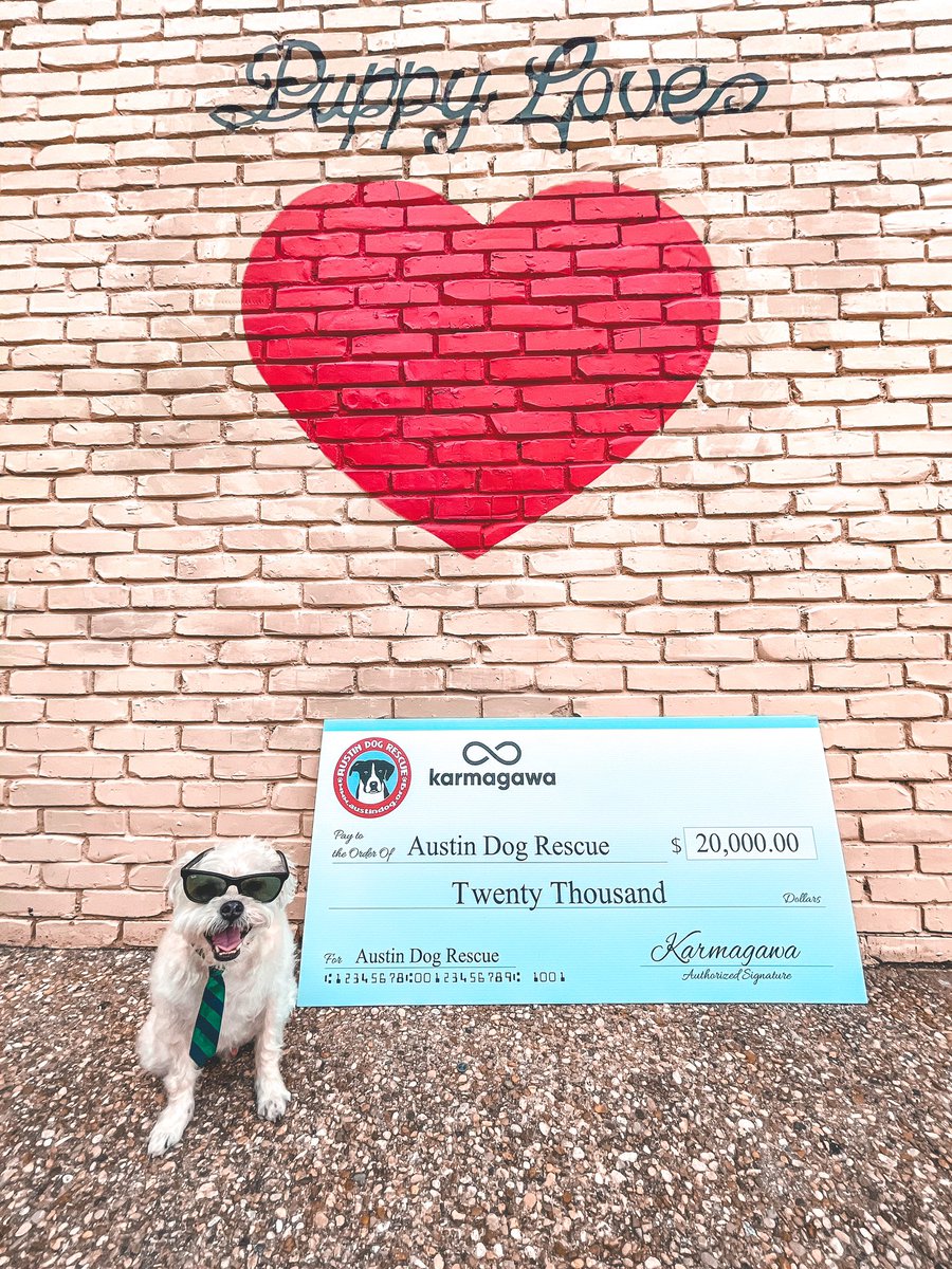 Kaxan_KXAN's tweet photo. When we were told that @karmagawa had a donation 4 @AustinDogRescue we had NO idea that it would be for $20K! We are blown away by this generous donation. My trainer &amp; I were honored 2 accept it on their behalf. Now they can continue having another great year of saving lives ❤️🐾 https://t.co/O644ZNNTs4
