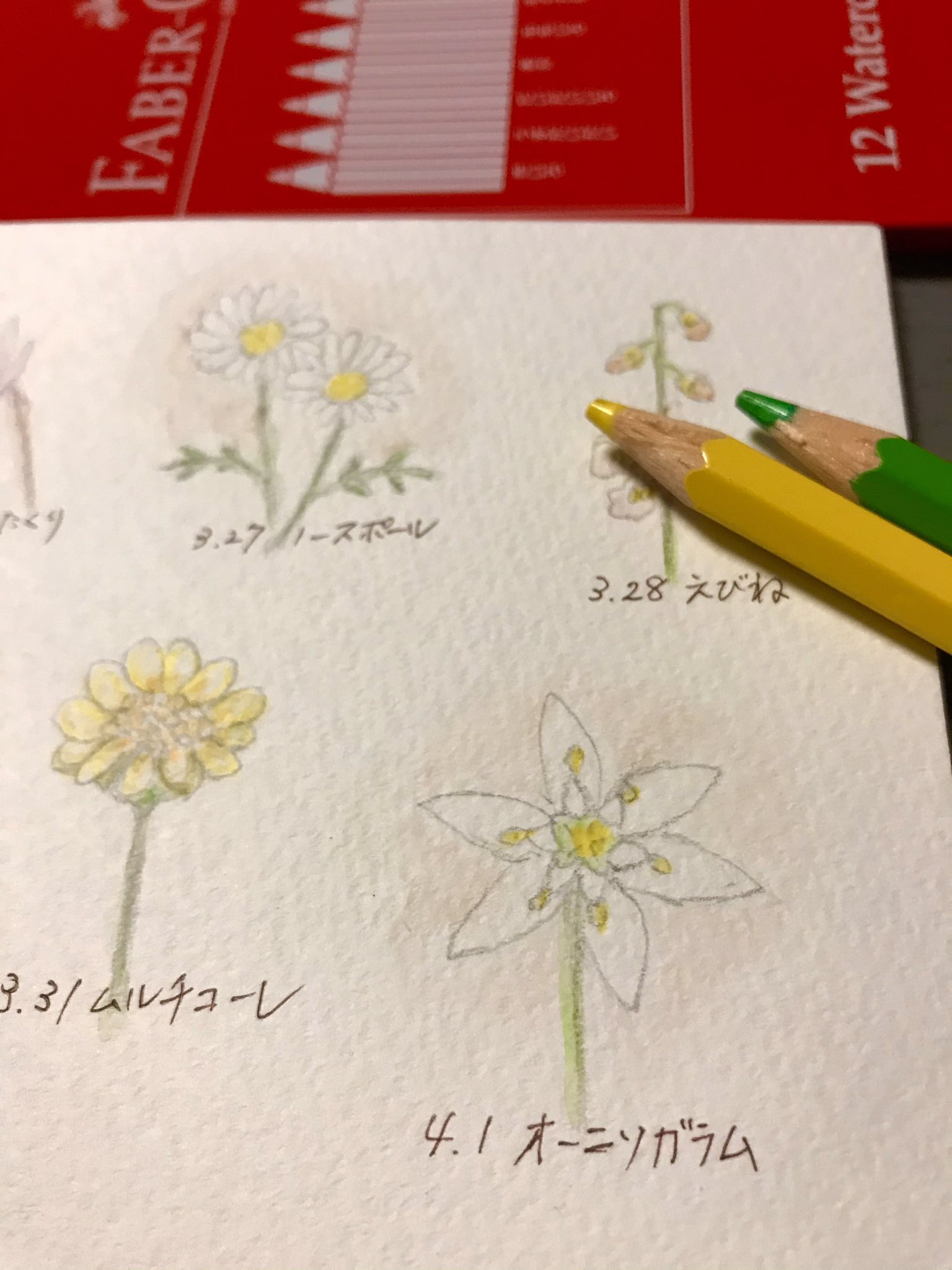 Atelier M Birthday Flowers 4月1日の誕生花は オーニソガラム 花言葉は 純粋 清らかさ など お誕生日の皆さん おめでとうございます 清楚でけがれのない姿から生まれた花言葉 純白で凛とした印象をうけるお花はブライダルブーケにも 4月1日