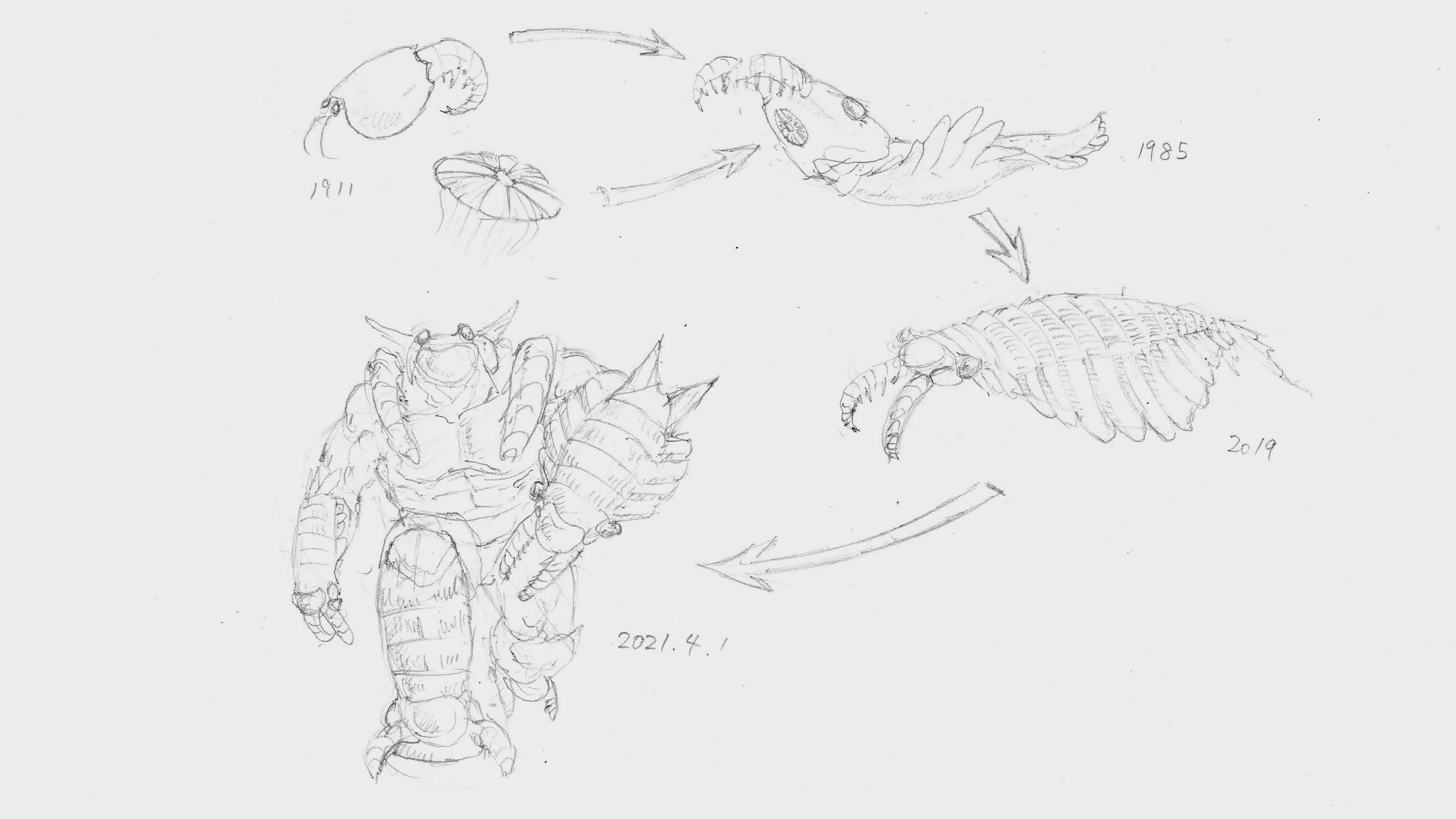 中島保寿 都市大 古生物 アノマロカリスの復元の歴史をまとめました