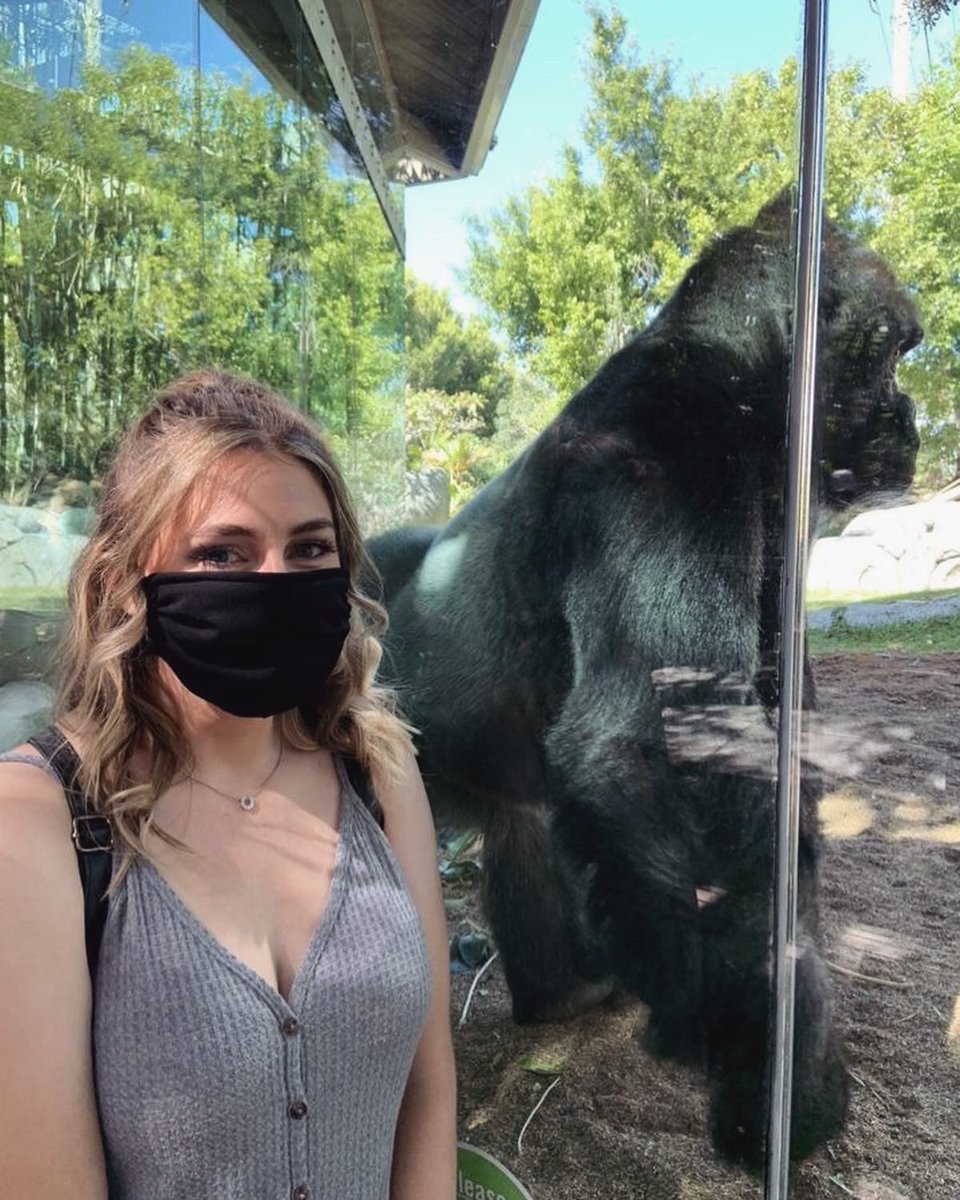 MsReapathy's tweet photo. Spent some time at the zoo today https://t.co/hKL4qHHVkC