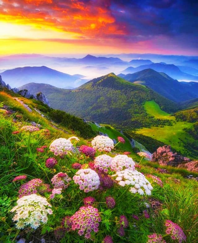 DIOS, te pido que todo lo que haga durante este nuevo día sea iluminado por tu hermosa luz. Por favor guíame, inspírame, cuida de mí, de mi familia y líbranos siempre de todo mal, Amén.
#Oraciones
norfipc.com/mensajes-crist…