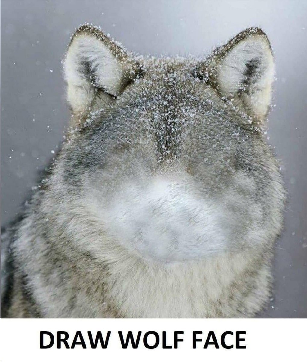 CalabazaLate's tweet photo. Me quise unir al reto- #art #challenge #wolf https://t.co/1PCRHBTgKm