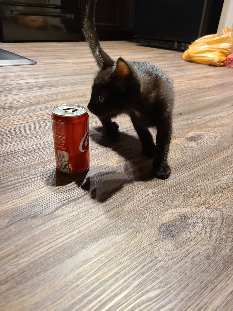 Adri (mazerly) tweet media