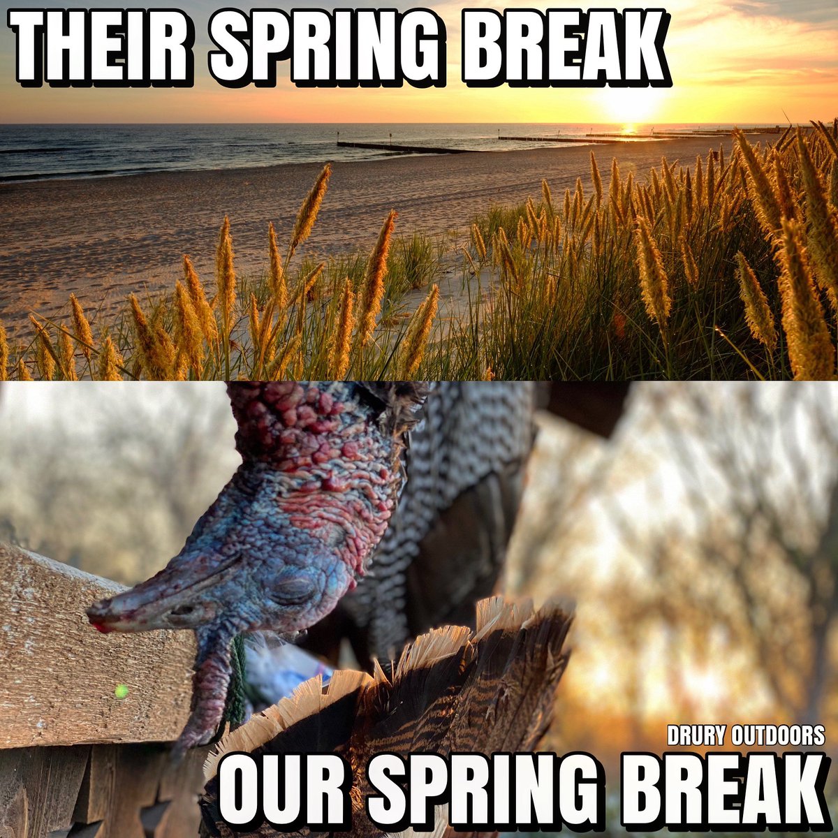 DruryOutdoors's tweet photo. RETWEET if you prefer Spring turkey hunting over the beach scene 😎🦃 We won’t tell. 

Don’t forget to use our #turkeyseason21 hashtag too! https://t.co/VWTm1fqNSv