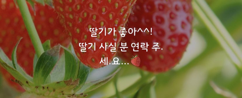 이니스프리 산악회 선생님들의 뜨거운 관심^^*에 감사드리며

청정 딸기 주문 폭주 기념
#딸기농부_트친소

리트윗해주시면 딸기 농부가 찾아뵙겠슴니다🍓