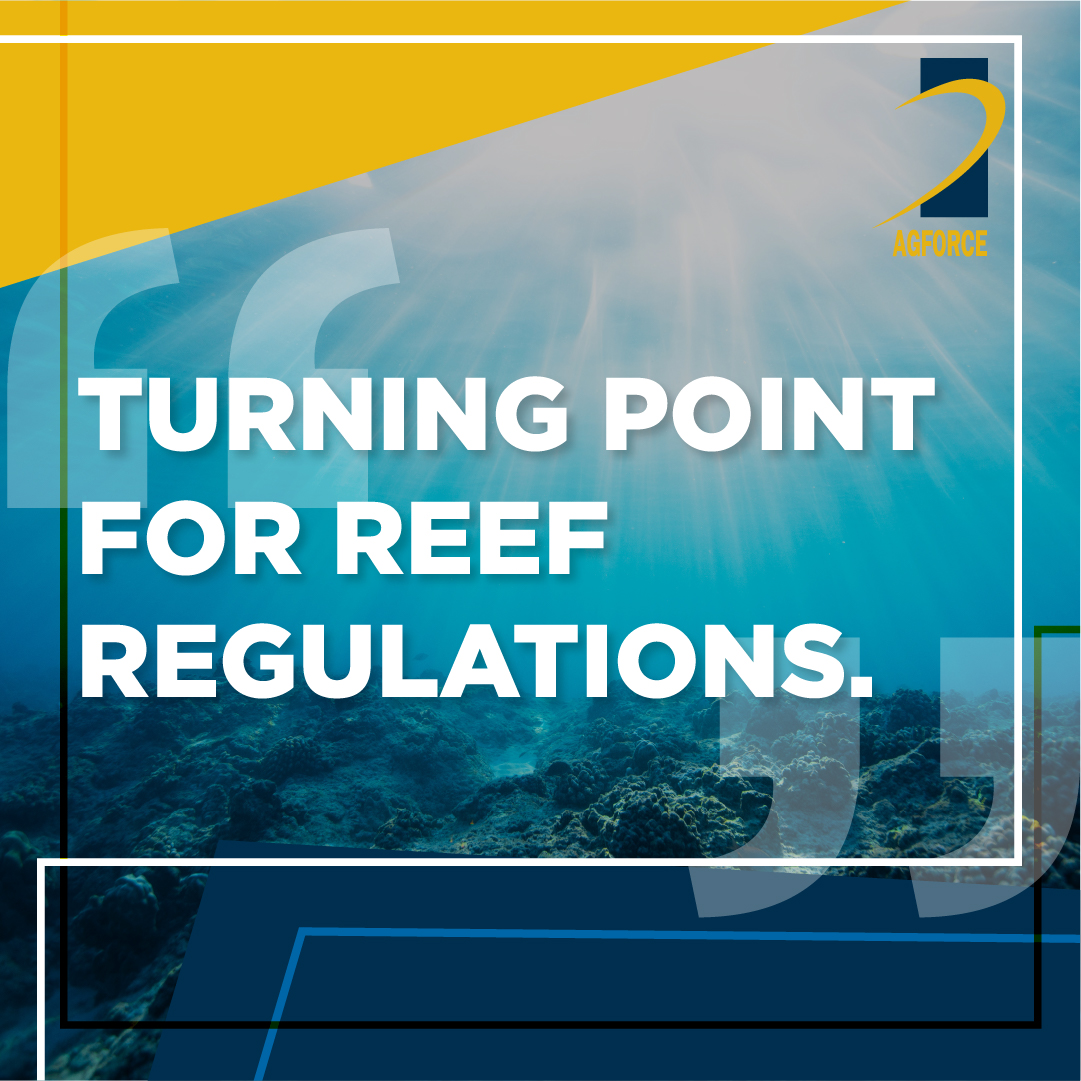 AgForceQLD's tweet photo. The rethink on #ReefRegs is a positive step for producers. In this week's column, @MichaelS_Guerin shares some of the concessions the State Government agreed to include, and why it all matters: https://t.co/dHvJELcc67 #qldag #sciencesense #qldpol https://t.co/Q12QiaTVSP