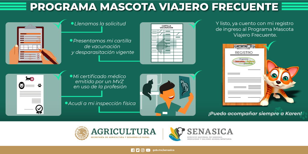 SENASICA's tweet photo. Karen y yo cumplimos nuestro propósito 2021. Ya soy parte del “Programa Mascota Viajero Frecuente” 🐶🐱 Para mayor información 👉 https://t.co/DODlboCp38 #AnimalesDeCompañía #perros #gatos https://t.co/EnklY9er0V