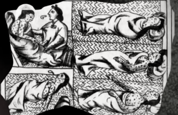 FGrizio's tweet photo. Q14.3
Our conquest of the Inca Empire resulted in epidemics of smallpox and measles virus infection which decimated the natives.🦠🤒🦠 https://t.co/niW5RYuMWV