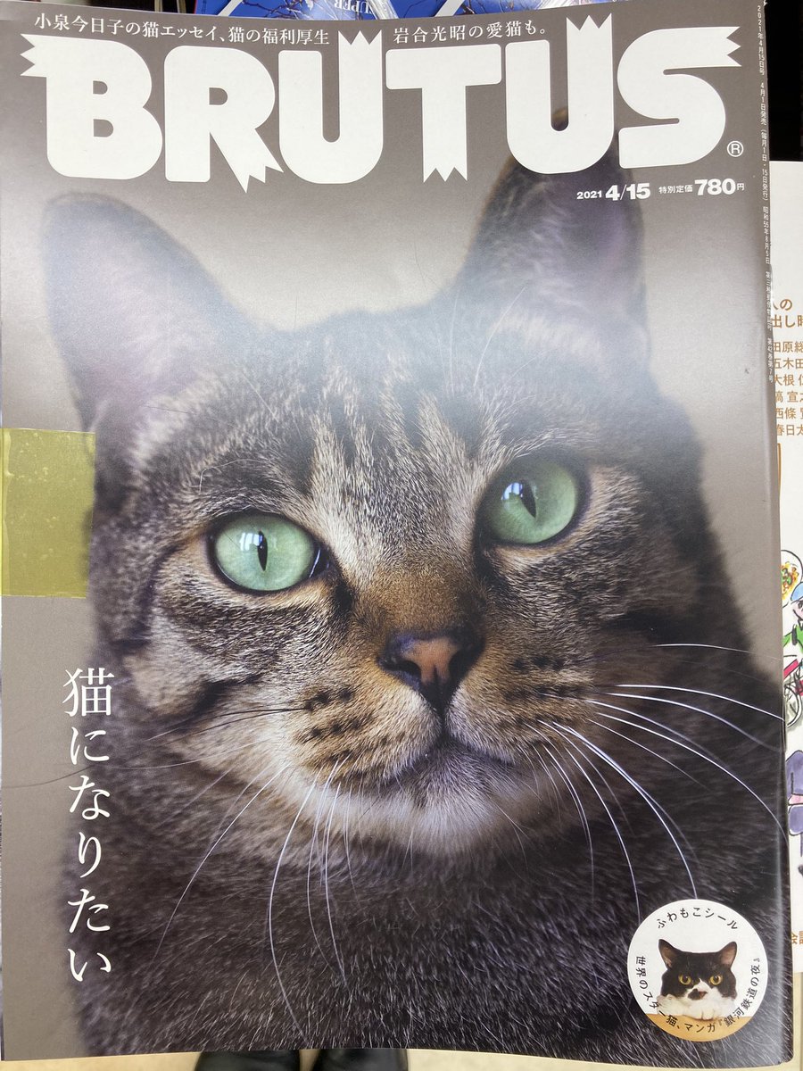 丸善お茶の水店 雑誌 おはようございます 本日発売の雑誌です 猫好きも高じると猫自体になりたくなるものなのでしょうか Brutus は ねこ ネコ 猫 中身ほぼ猫で埋め尽くされています 有名人の猫 街にある猫の像など 猫に関するものであれ 丸善お茶の水店 雑誌 おはようございます 本日発売の雑誌です 猫好きも高じると猫自体になりたくなるものなのでしょうか Brutus は ねこ ネコ 猫 中身ほぼ猫で埋め尽くされています 有名人の猫 街にある猫の像など 猫に関するものであれ