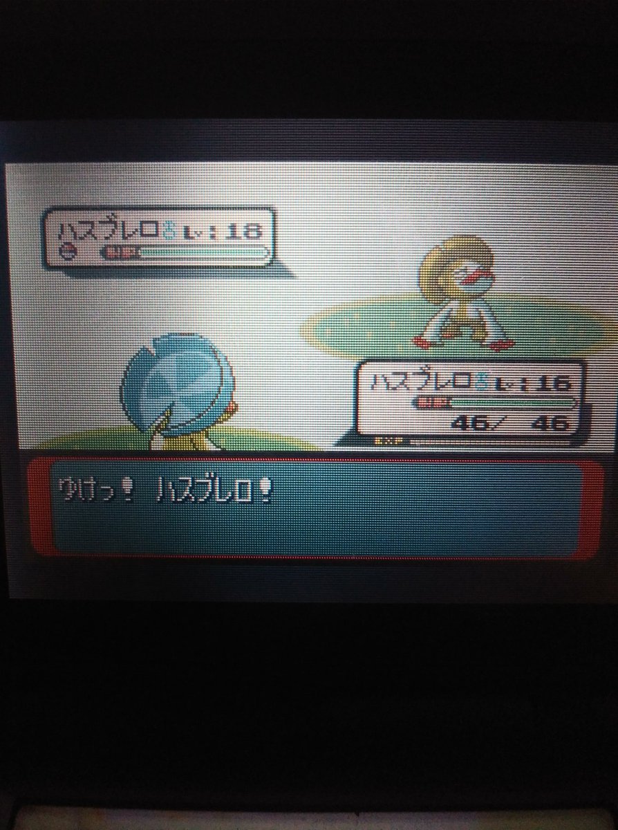 HotDogLord_'s tweet photo. Fuck it dude at least its not another goddamn swablu and ive got 2/3 for the line 

Phase 7 at 20,574 RE and a total of 74,496 RE for seviper/zangoose #TeamScuffed https://t.co/q20AZjvGcQ
